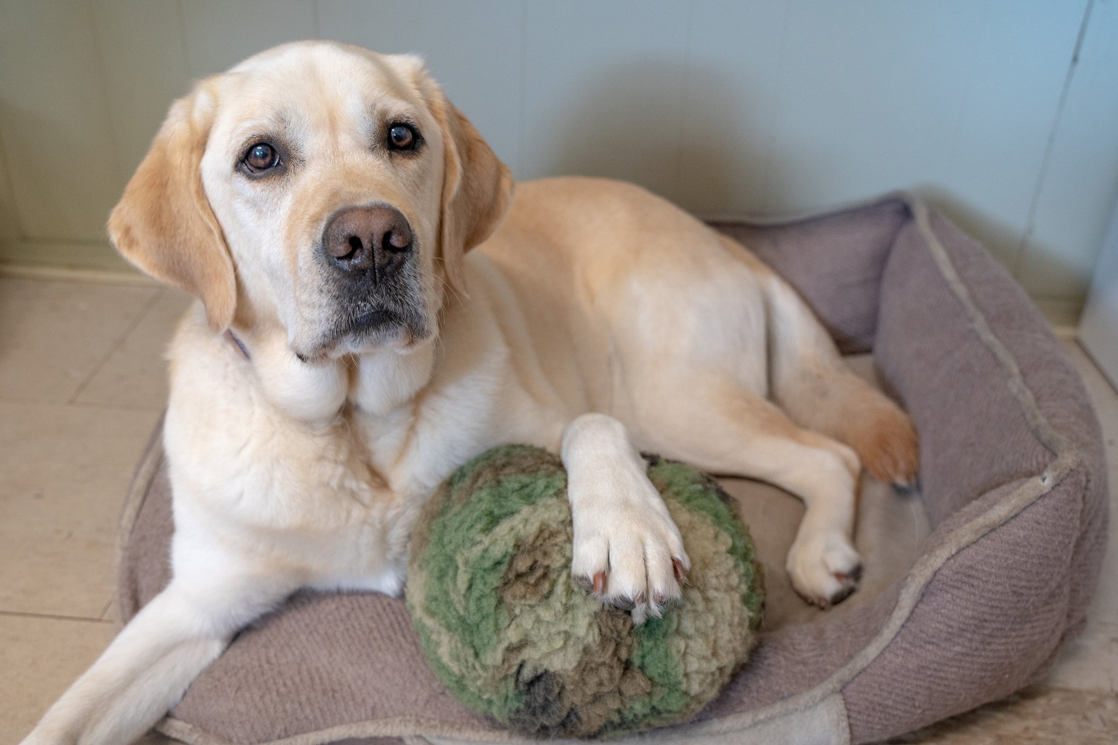 HuggleCause™, Warrior Canine Connection, Camouflage HuggleFleece® Plush Ball Dog Toy - image 4
