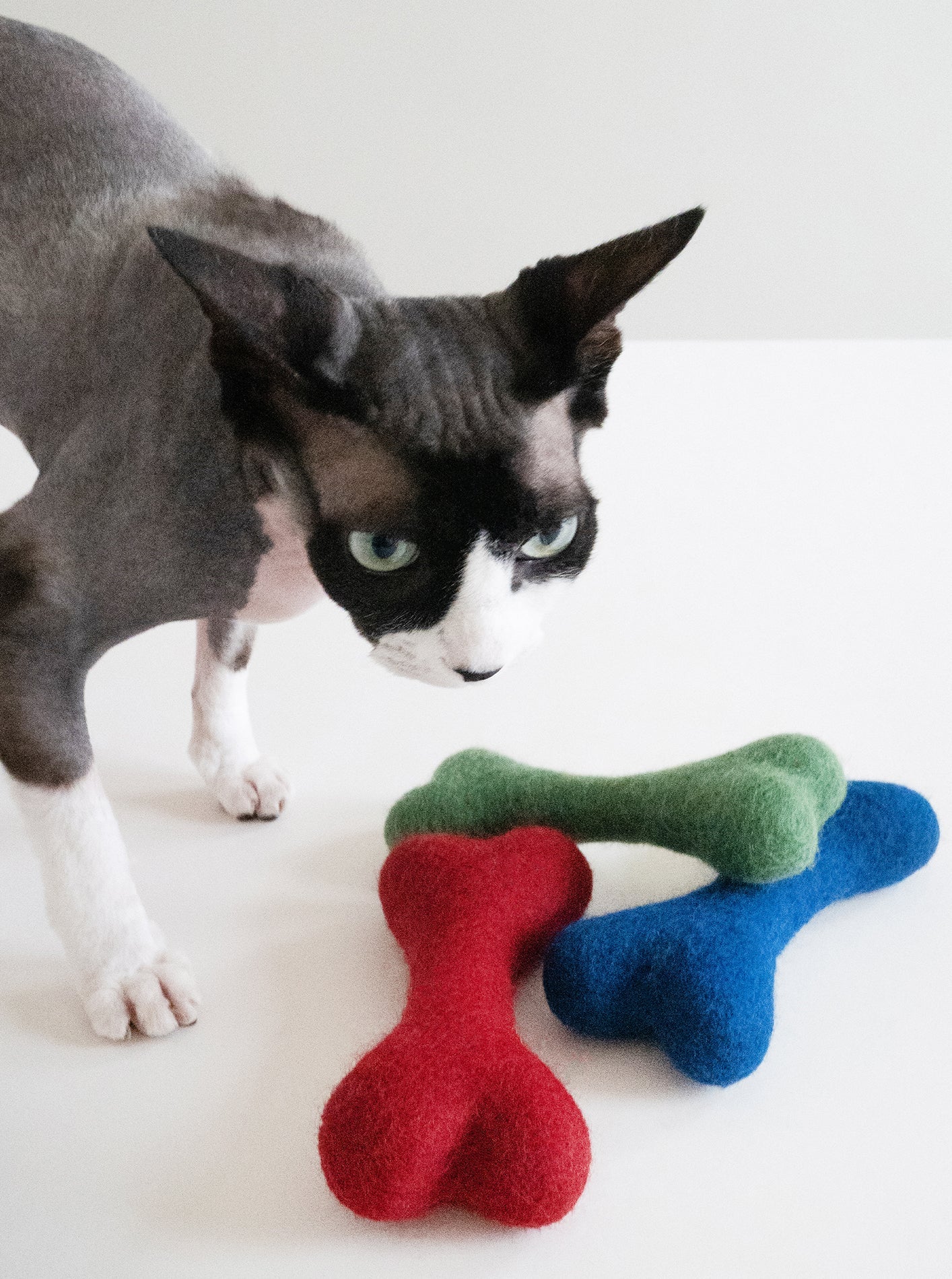 MB WOOLBONE - Southlake Paws
