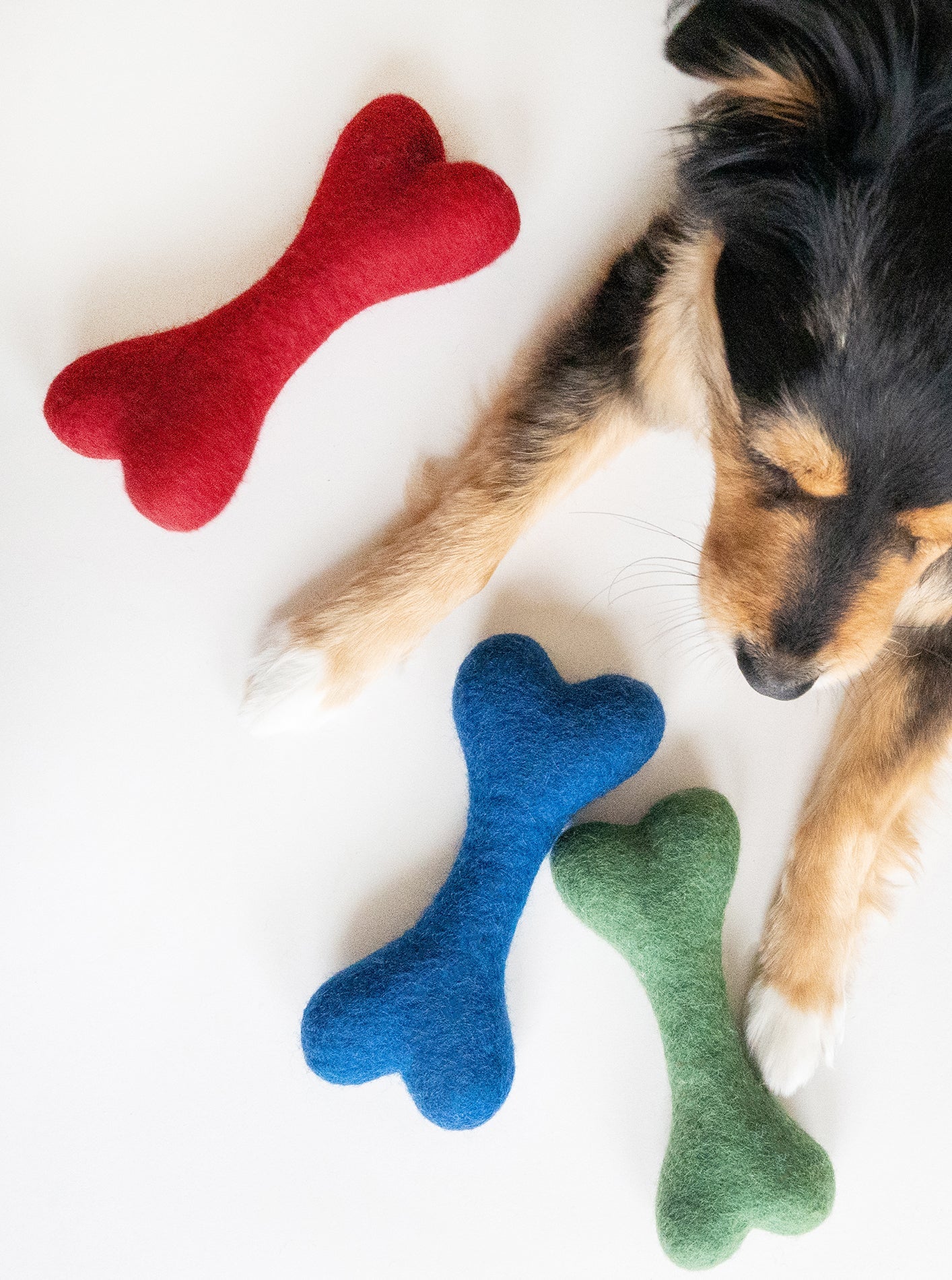 MB WOOLBONE - Southlake Paws