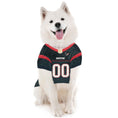 Load image into Gallery viewer, NFL Houston Texans Striped Mesh Dog Jersey
