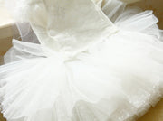 Luxury Classic White Pet Wedding Dress Elegant Floral Tulle Dog Dress 