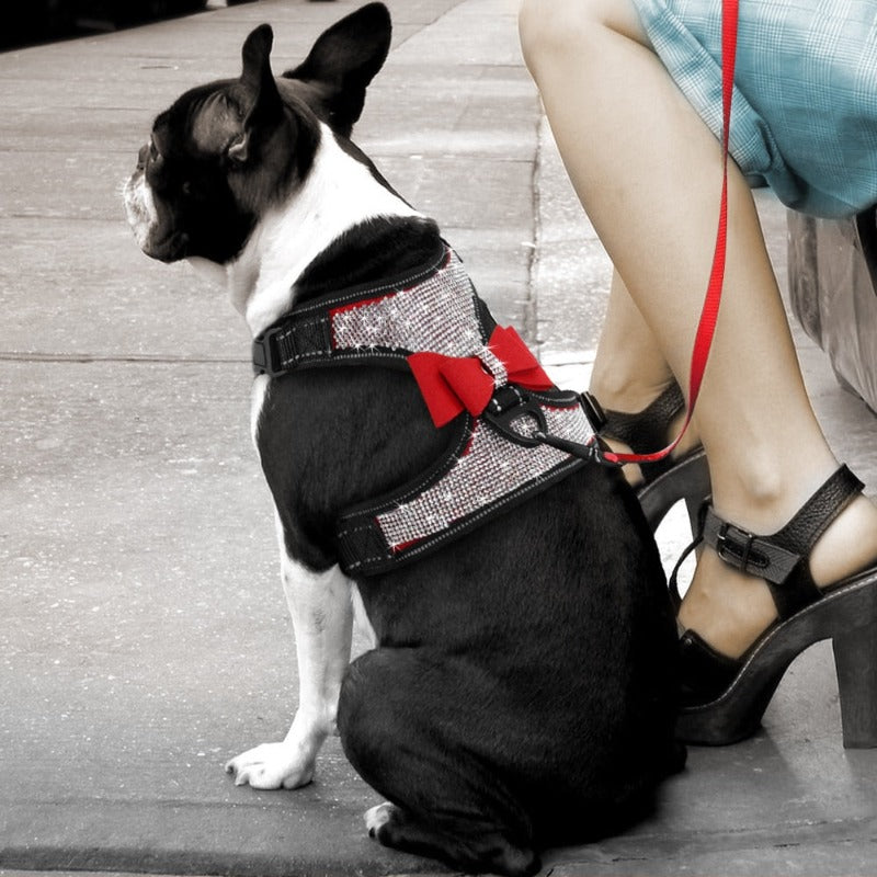 Reflective Bling Rhinestone Bow Dog Harness - Southlake Paws
