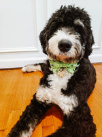 Halloween Bow Ties