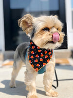 Halloween Candy Corn