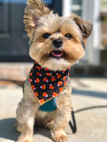 Load image into Gallery viewer, Halloween Candy Corn
