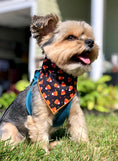 Load image into Gallery viewer, Halloween Candy Corn
