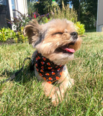 Halloween Candy Corn