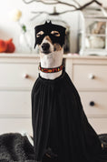 Load image into Gallery viewer, Halloween Dog Collar
