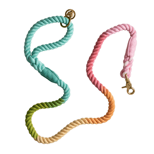 Halston Rope Dog Leash