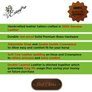 ExionPro Triple Stitched Leather Halter - Brass Nickel Hardware