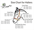 Load image into Gallery viewer, ExionPro Clincher Leather Halter - Brass Hardware - Southlake Paws
