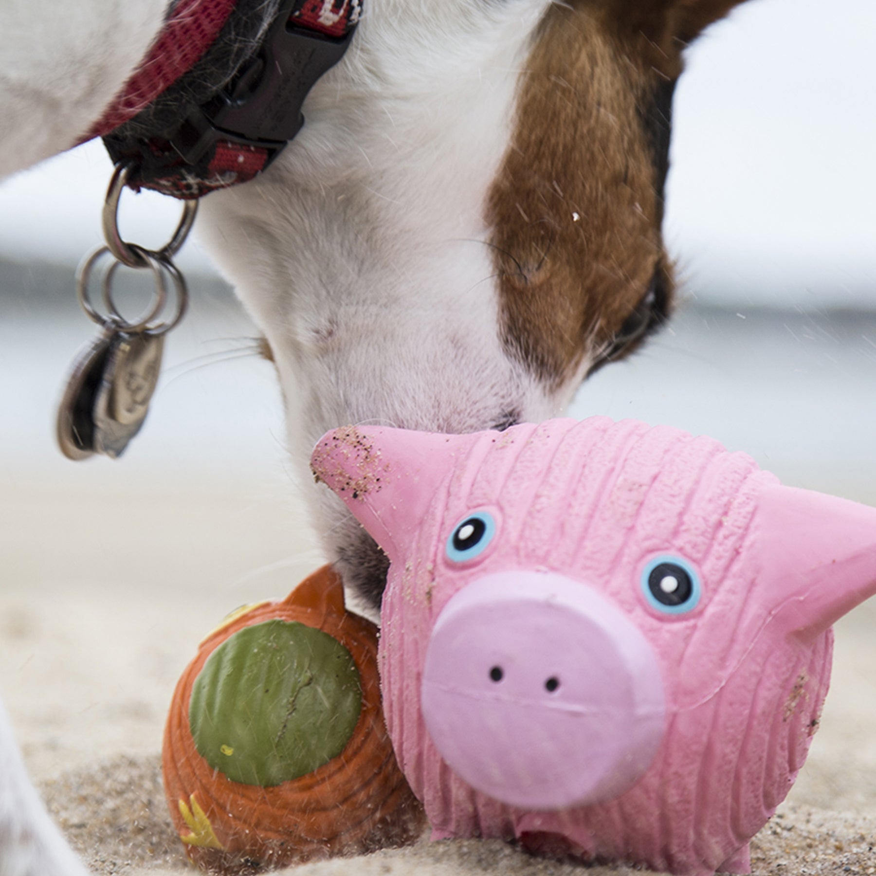 Hamlet Pig Ruff-Tex® Latex Ball Dog Toy, Large - image 3