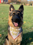 Load image into Gallery viewer, Happy Birthday Boy or Girl Tie Dog Bandana
