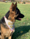 Load image into Gallery viewer, Happy Birthday Boy or Girl Tie Dog Bandana

