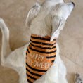 Load image into Gallery viewer, Halloween Reversible Collar Bandana "Tricks for Treats" / "Happy Howl-oween" - Southlake Paws
