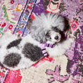 Load image into Gallery viewer, Dog Harness Kit.
