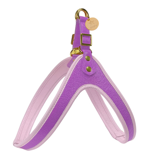 Step-in Harness - Lavish Lavender