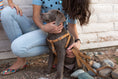 Load image into Gallery viewer, Step In Leather Dog Harness - image 7
