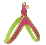STEP-IN HARNESS - CANDY SWIRL