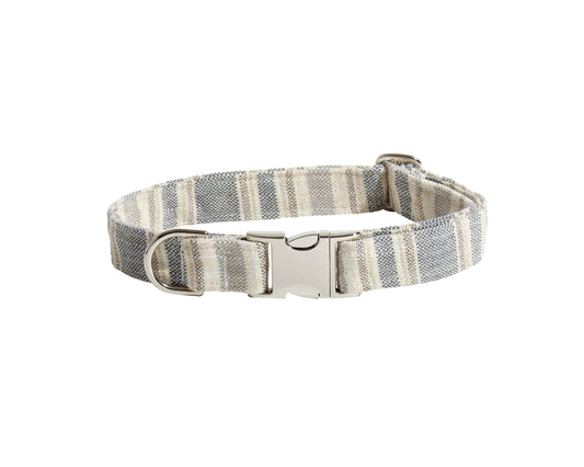 Designer Buckle Collar