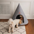 Load image into Gallery viewer, Nooee Pet Cave Harry (XXL) – Gray
