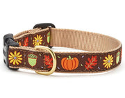 Harvest Time Dog Collar