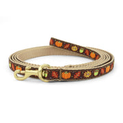 Harvest Time Small Breed Dog Lead