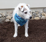 Hawaiian Hibiscus  - Dog Bandana