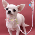 Load image into Gallery viewer, Pink Daisy Flower Collar & Leash Set with Matching Poop Bag Case | Personalized Free - Southlake Paws
