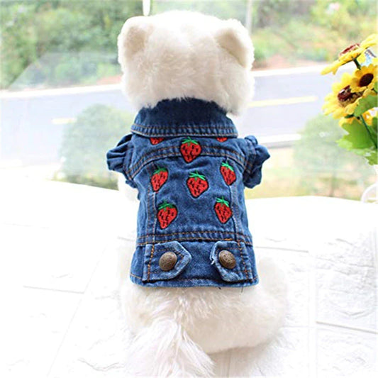Sweet Strawberry Denim Jacket - Southlake Paws