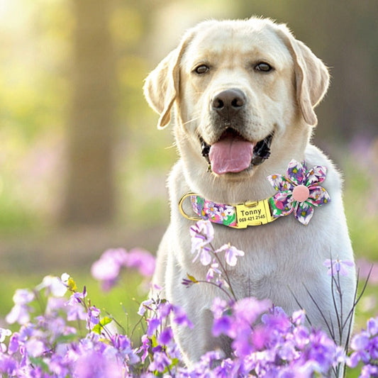 Purple Daisy Flower Dog Collar & Leash Set | Personalized Free - Southlake Paws