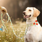 Orange Flower Dog Collar & Leash Set with Matching Poop Bag Case | Personalized Free
