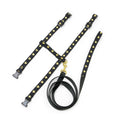 Load image into Gallery viewer, Heart of Gold Cat Harness Set
