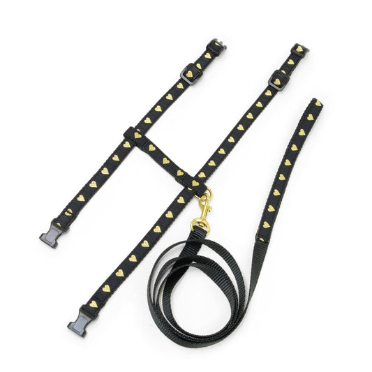 Heart of Gold Cat Harness Set