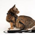 Load image into Gallery viewer, Heart of Gold Cat Harness Set
