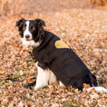 Load image into Gallery viewer, Heart of Gold Sweater

