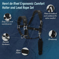 Load image into Gallery viewer, Henri de Rivel Ergonomic Comfort Halter and Lead Rope Set - image 7
