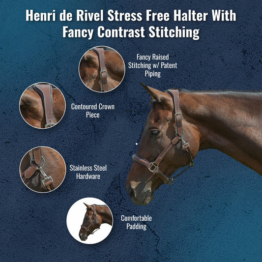 Henri de Rivel Stress Free Halter With Fancy Contrast Stitching - image 9