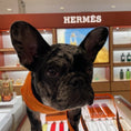 Load image into Gallery viewer, Hairmes Paris Designer Dog T-Shirt 
