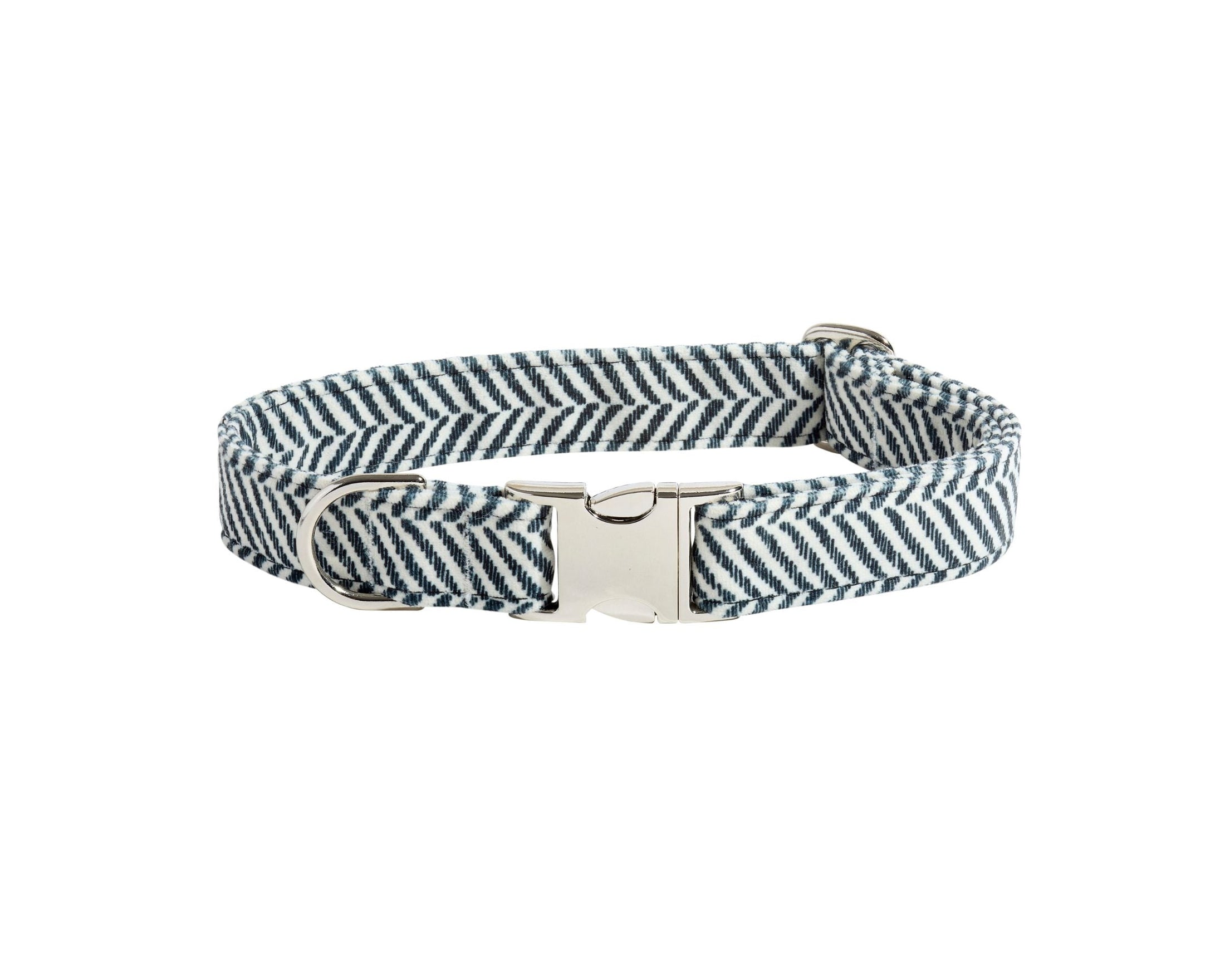 Designer Buckle Collar