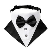 Tuxedo Bow Tie Buckle Collar