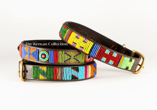 TKC Hippo Circus Beaded Dog Collar