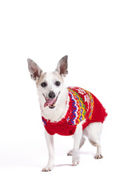 Jolly Red Dog Sweater