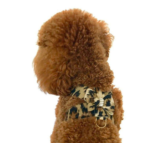 Hollywood Bow Dog Harness, Leopard 