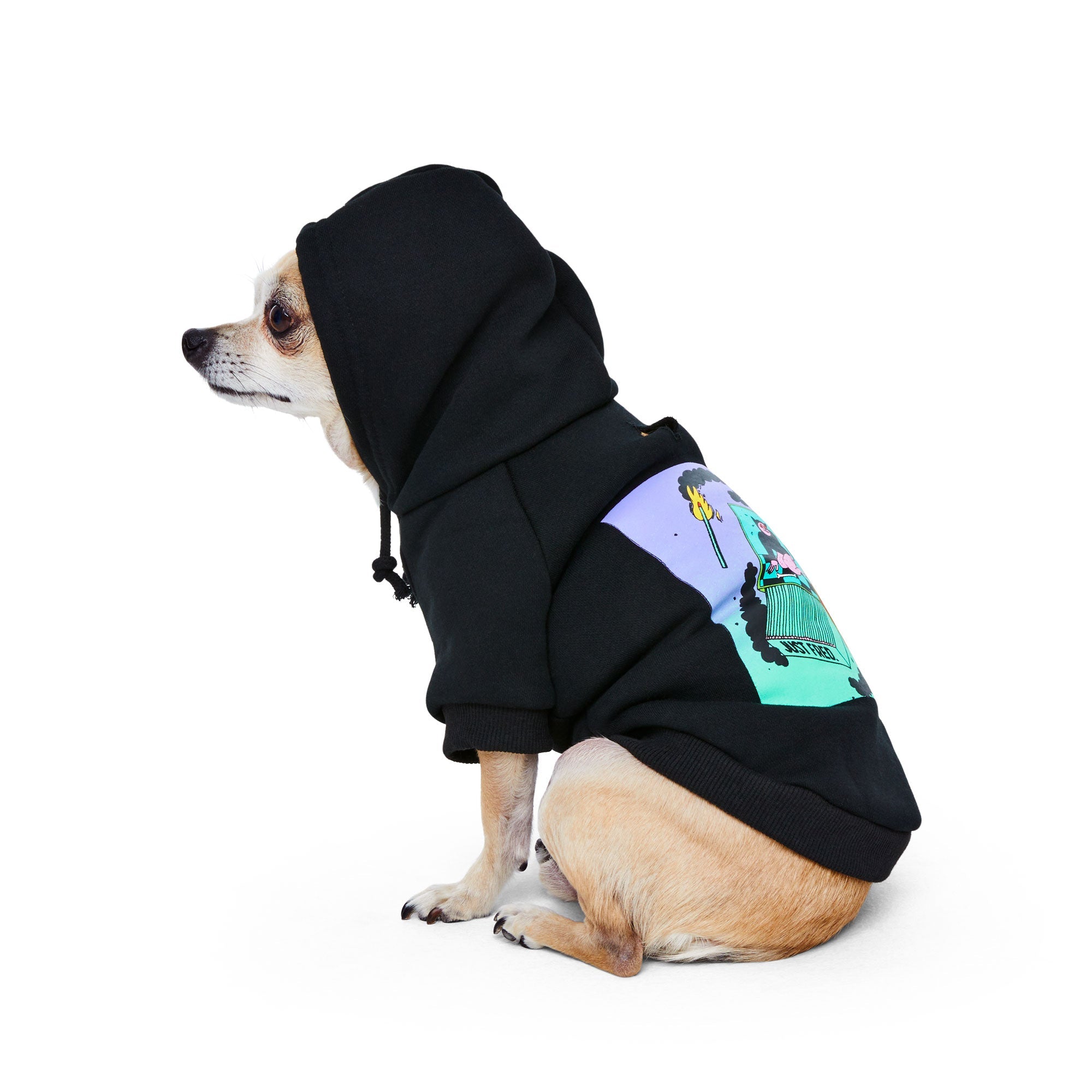 Snap Back Hoodie.