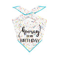Load image into Gallery viewer, Hooray It's My Birthday Teal
