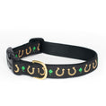 Load image into Gallery viewer, Horseshoes Dog Collar
