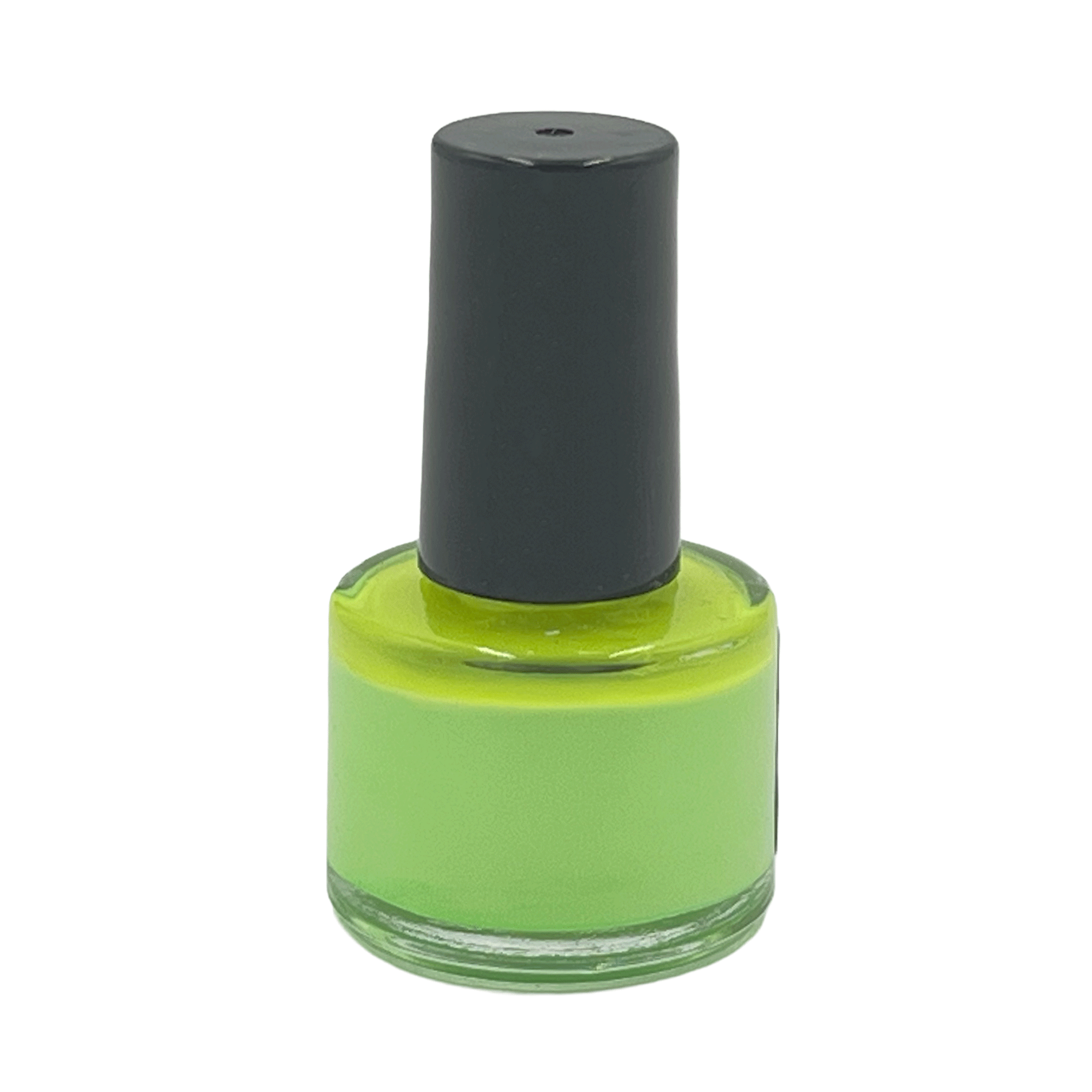 Dog Fashion Spa Lime After Dark Non-toxic Nail Polish