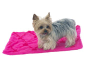 Blanket, Embroidered Roses in Hot Pink 