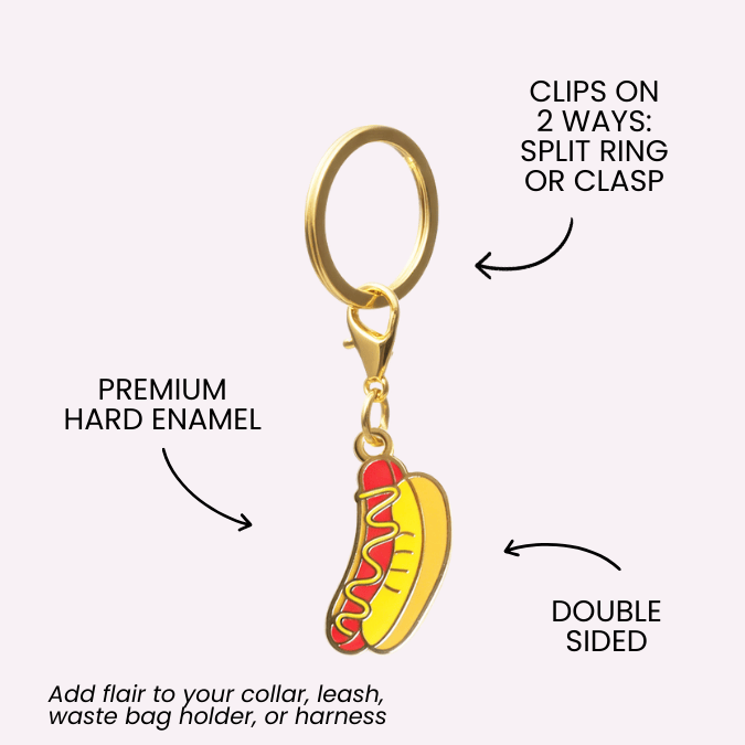 Hotdog & Popcorn Pet Charm Set